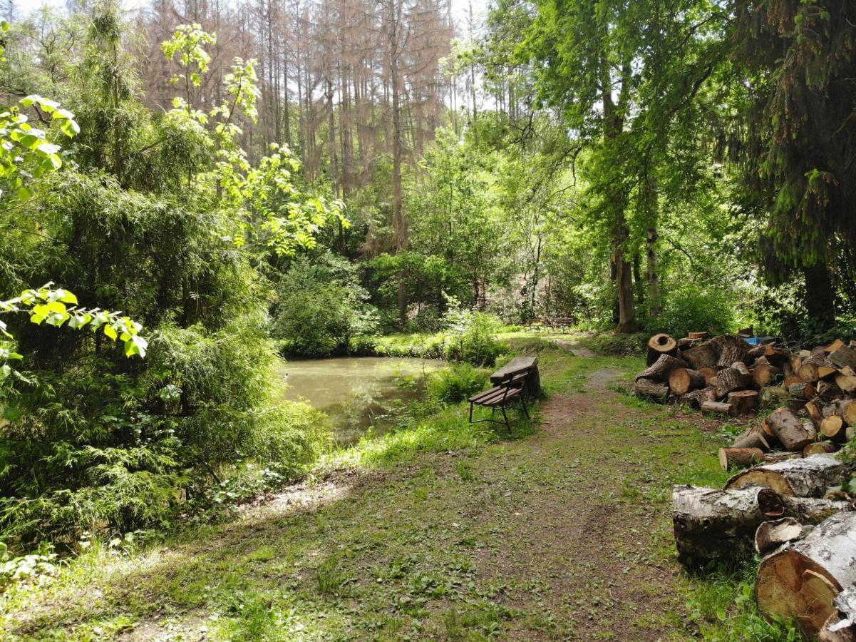 Zur Margarethenmuehle - Landgasthof Und Waldhotel Rosswein Exterior foto